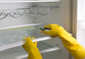 limpiar frigorifico